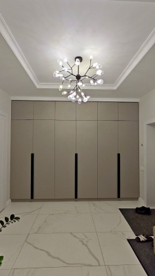 Шкаф "ДАВИДИЯ"