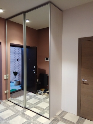 Шкаф-купе "ВЕЛЬВИЧИЯ"