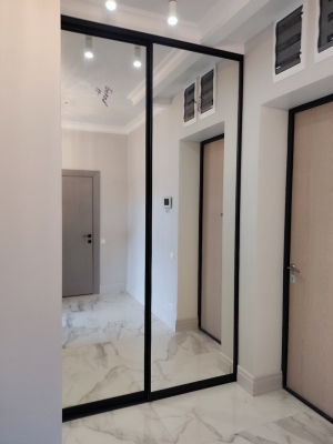 Шкаф-купе "АЙЛАНТ"